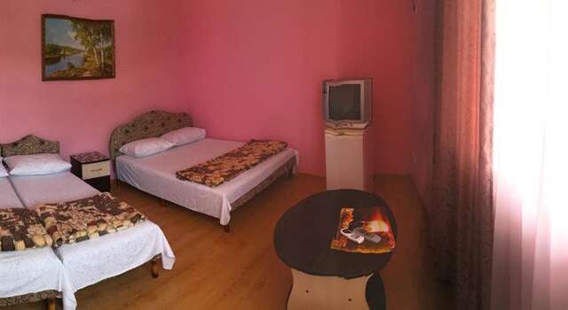 Гостиница Guest House Alina Лермонтово-39