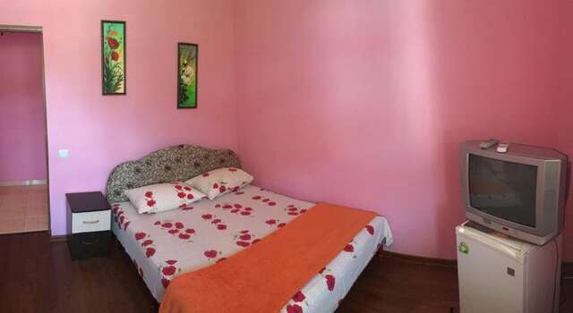 Гостиница Guest House Alina Лермонтово-36